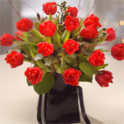 Spring into Christmas